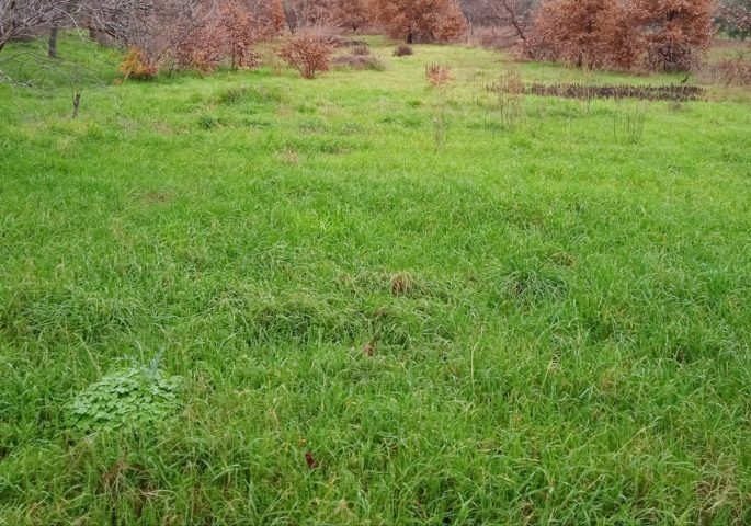 Pozemek Na prodej - Istarska Pula - foto 2/2