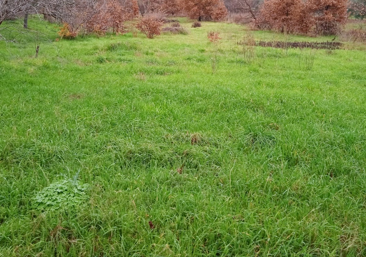 Zemljište Na prodaju - ISTARSKA PULA