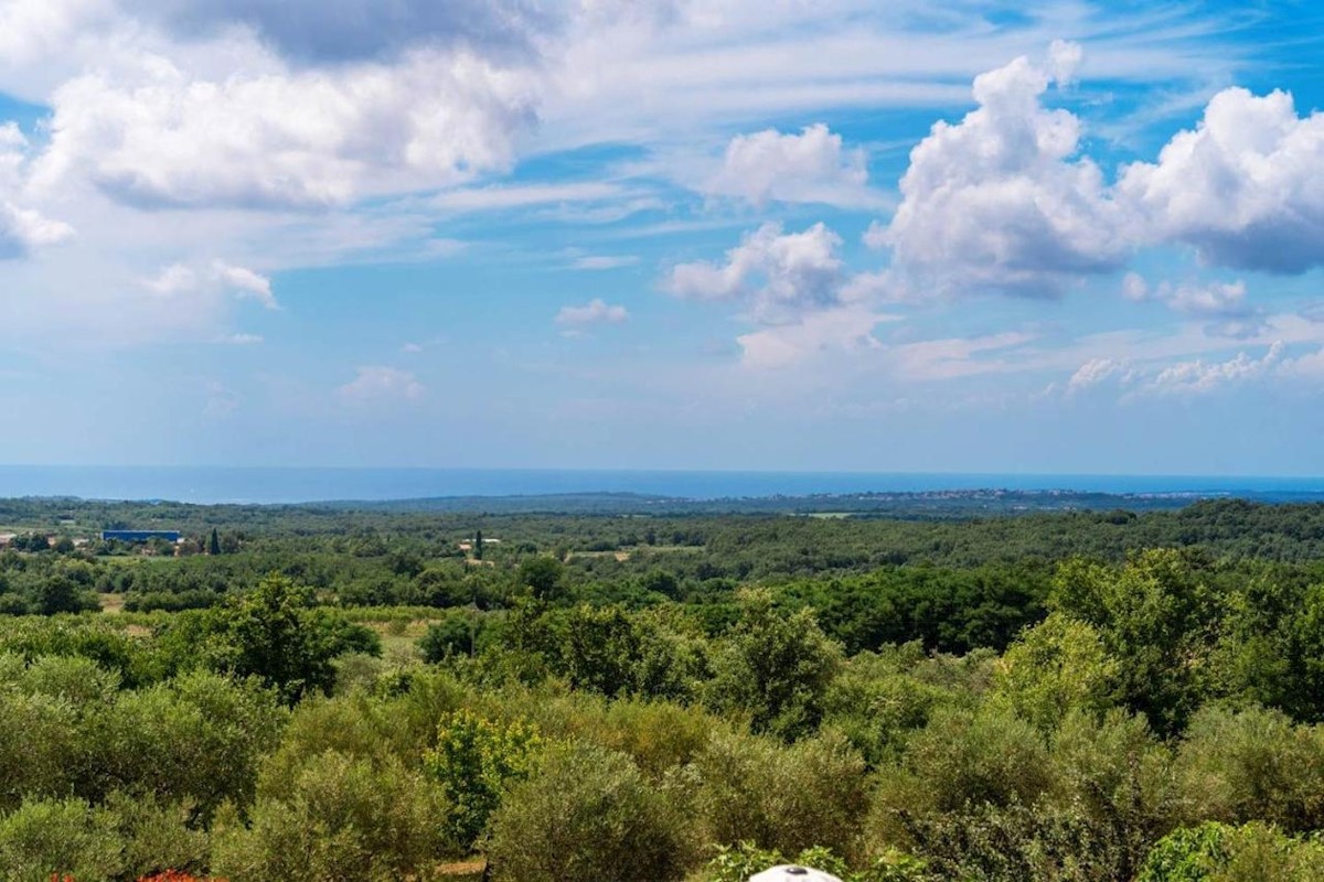 Kuća Na prodaju - ISTARSKA VIŠNJAN