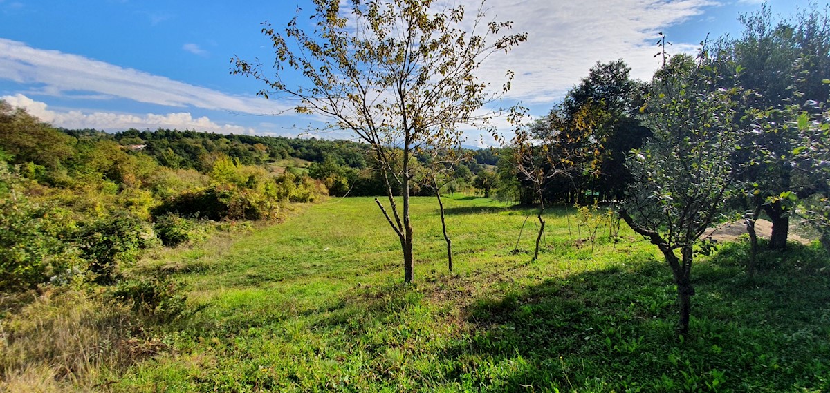 Kuća Na prodaju - ISTARSKA GRAČIŠĆE