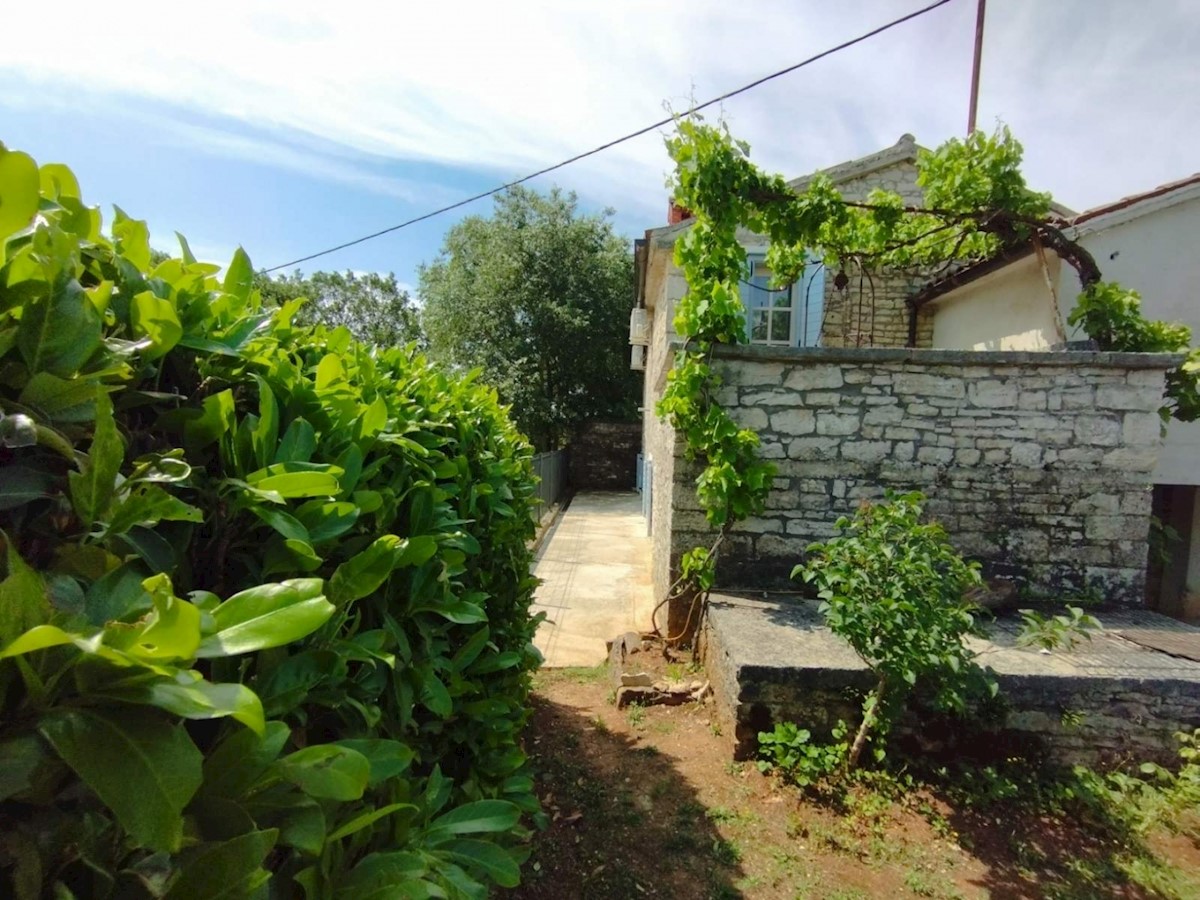 House For sale - ISTARSKA BALE