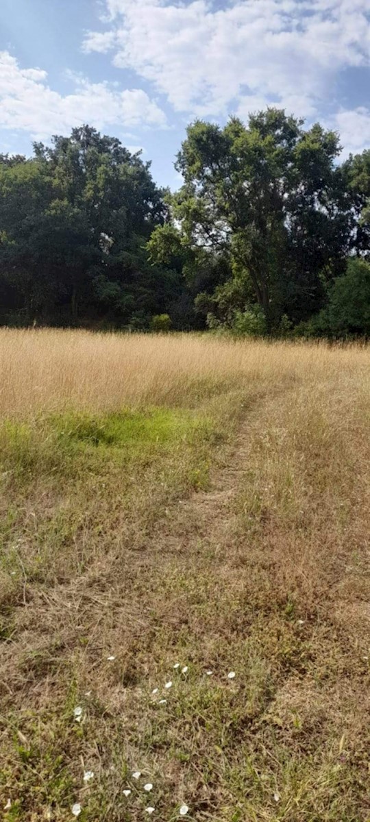 Terrain À vendre - ISTARSKA MARČANA