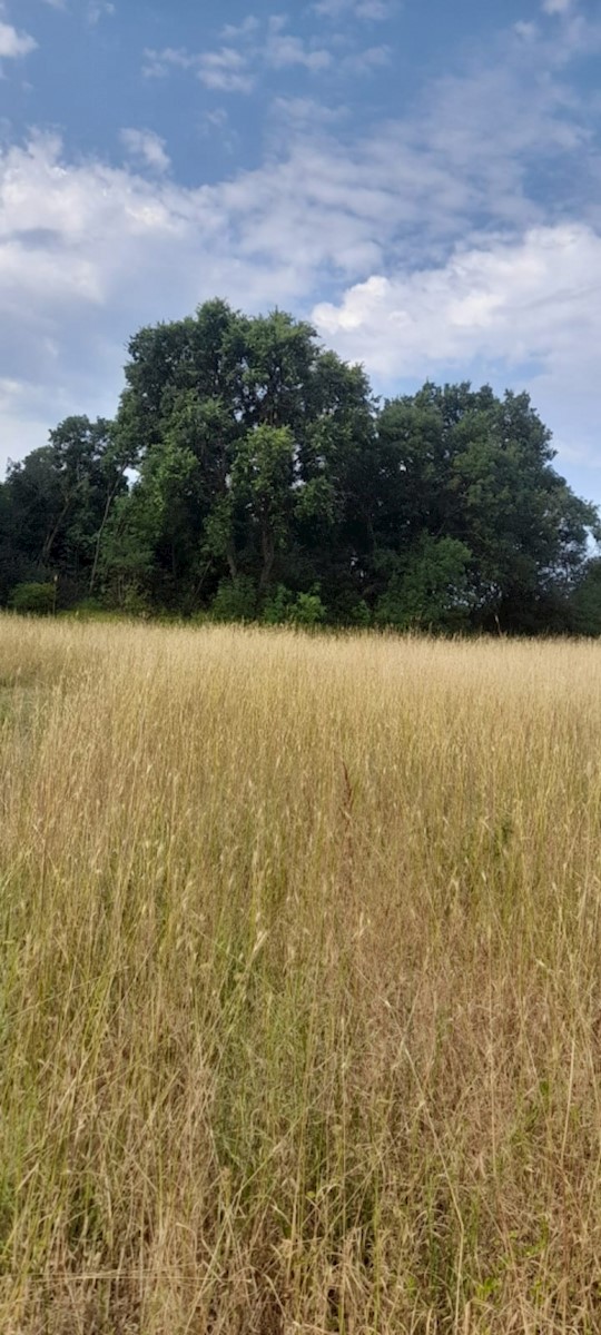 Terrain À vendre - ISTARSKA MARČANA