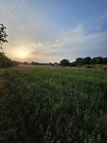 Parcela Na predaj - Istarska Marčana - foto 2/2