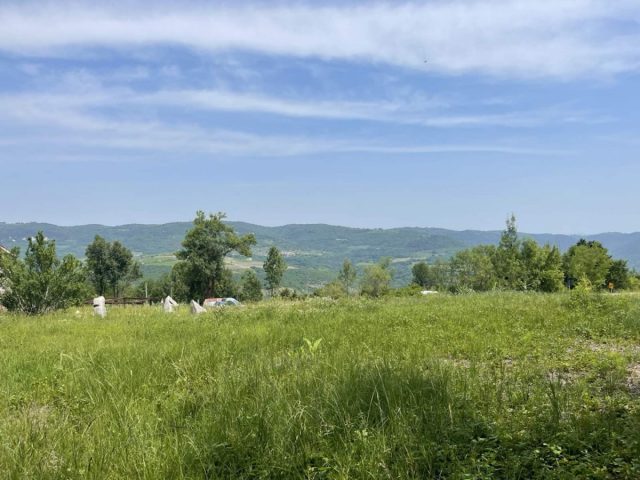Parcela na predaj 2600 m² – Vižinada