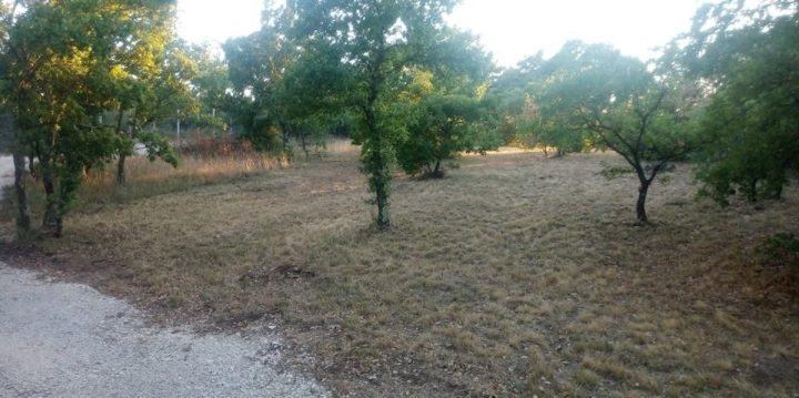 Grundstück Zu verkaufen - Istarska Svetvinčenat - foto 5/7