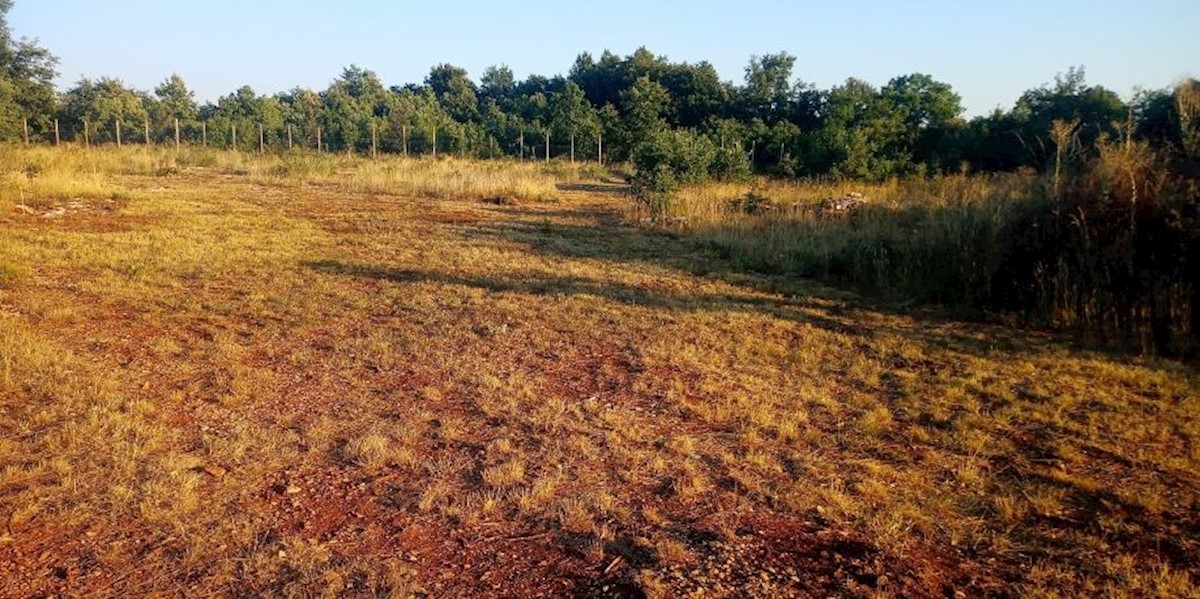 Pozemek Na prodej - ISTARSKA SVETVINČENAT