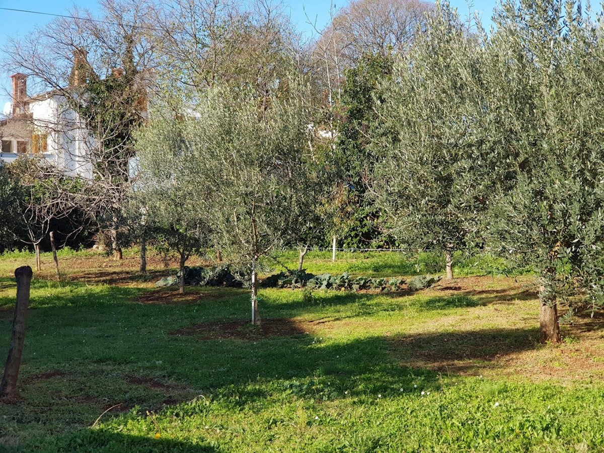 Kuća Na prodaju - ISTARSKA TAR-VABRIGA