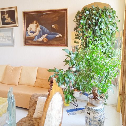 Apartma Naprodaj - Istarska Pula - foto 5/16
