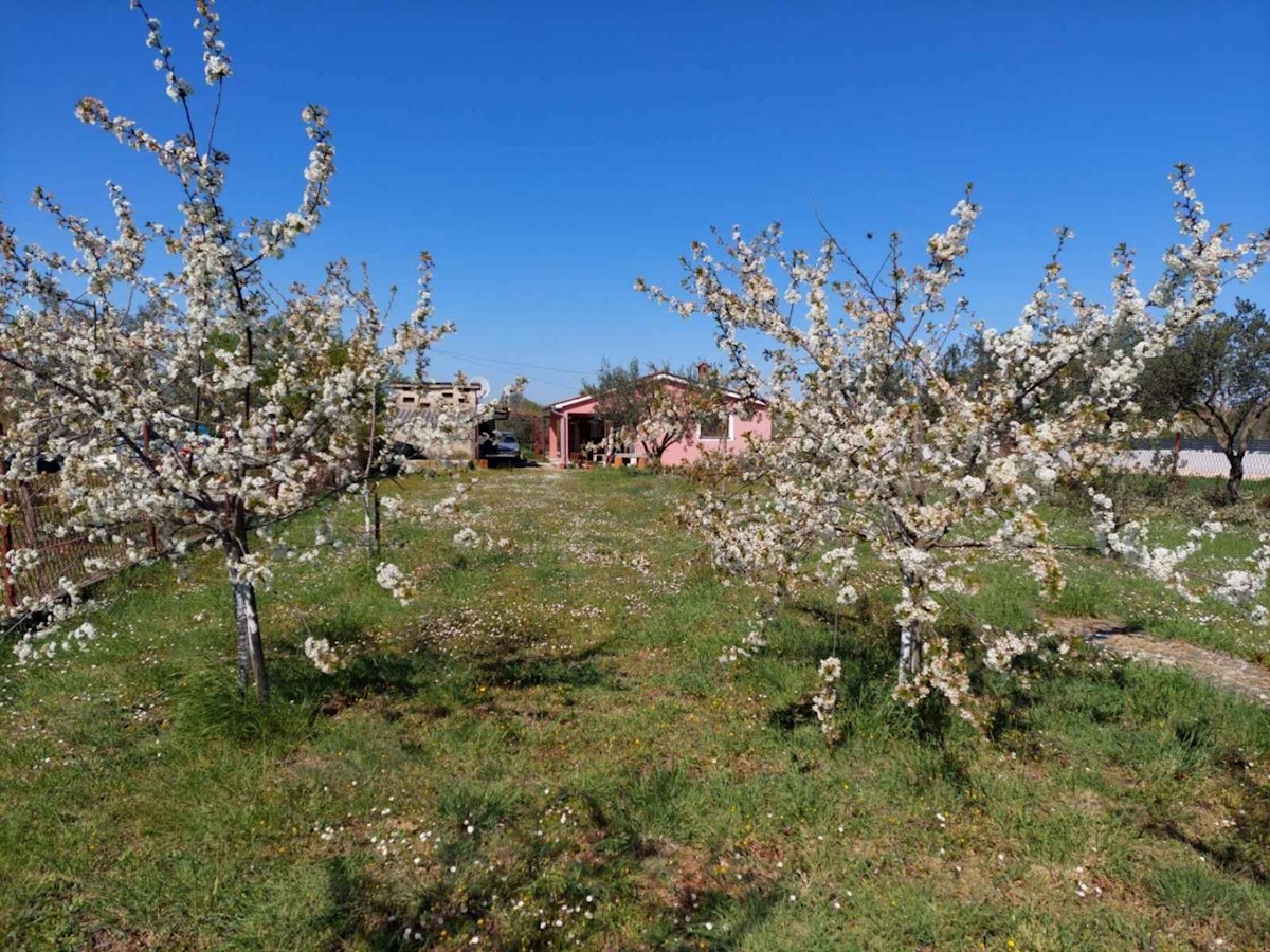 House For sale - ISTARSKA LIŽNJAN