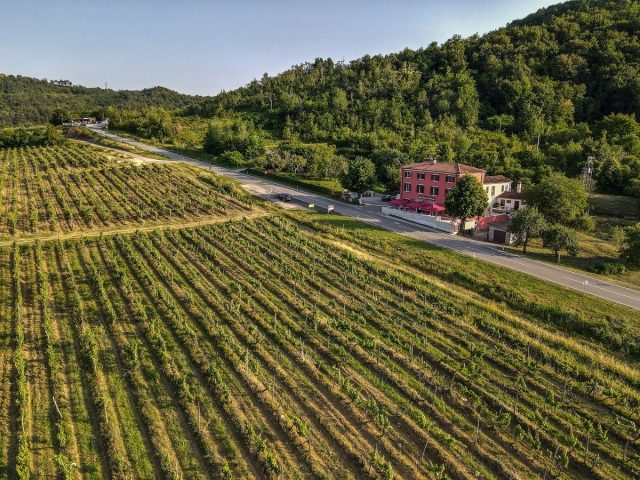 Lokal użytkowy Na sprzedaż - Istarska Motovun - foto 4/12