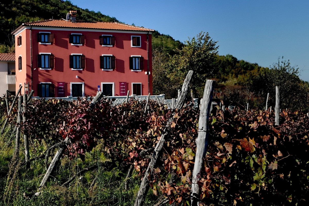 Locaux commerciaux À vendre - ISTARSKA MOTOVUN