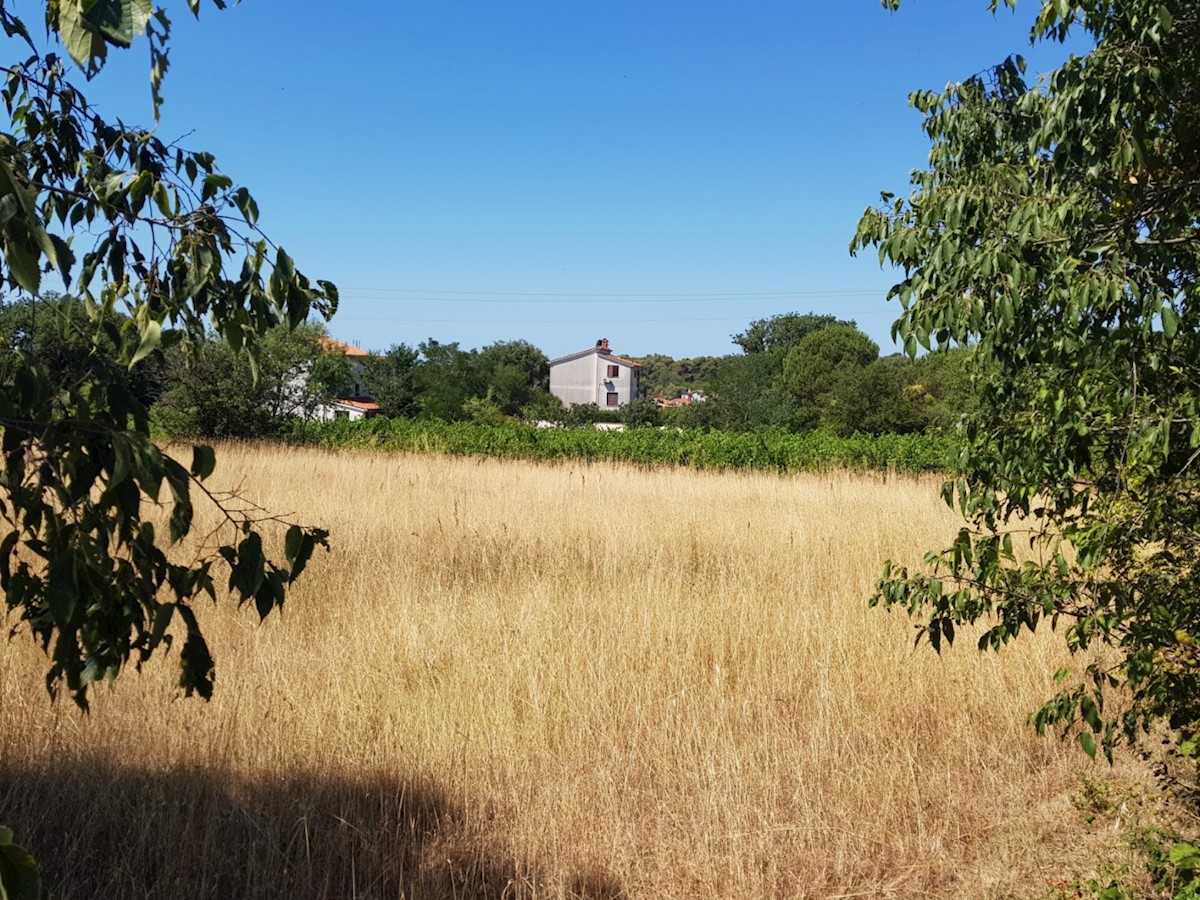 Terreno In vendita - ISTARSKA LIŽNJAN