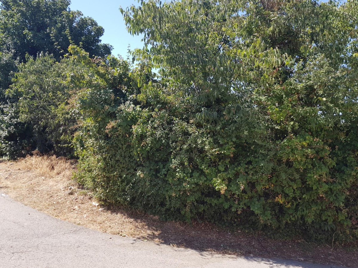 Terreno In vendita - ISTARSKA LIŽNJAN