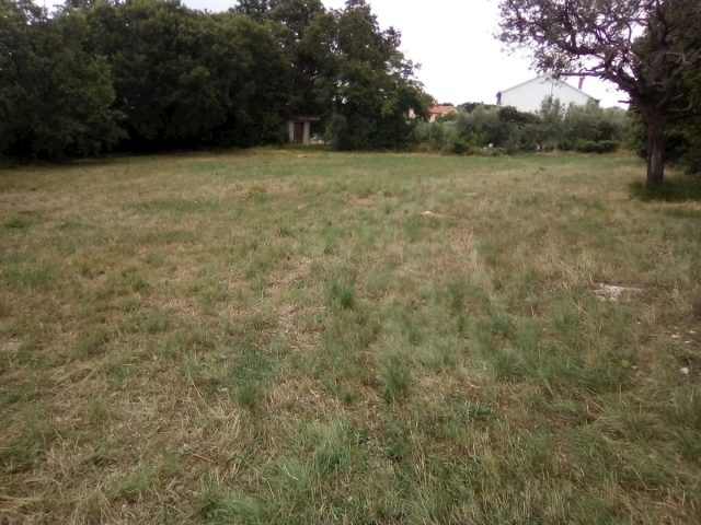 Grundstück Zu verkaufen - Istarska Marčana - foto 2/4
