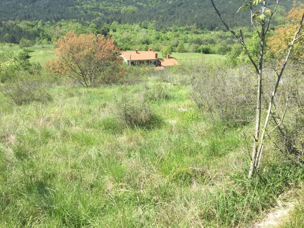 Terreno In vendita - ISTARSKA KRŠAN