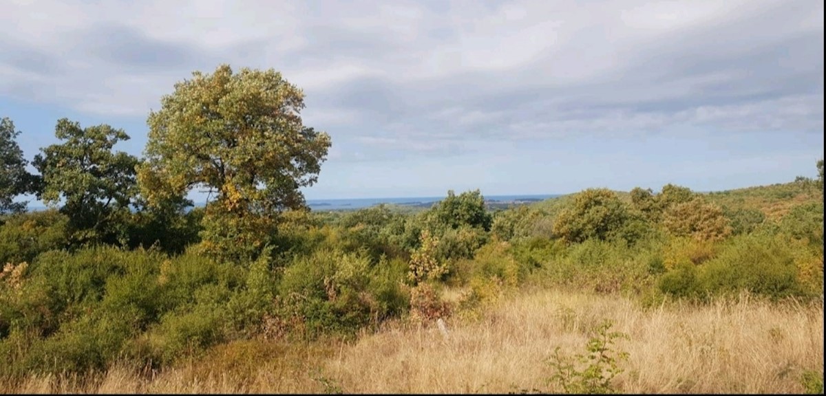 Parcela Na predaj - ISTARSKA ROVINJ