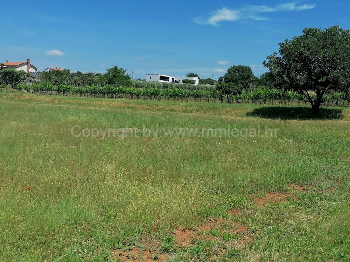 Land For sale - ISTARSKA POREČ