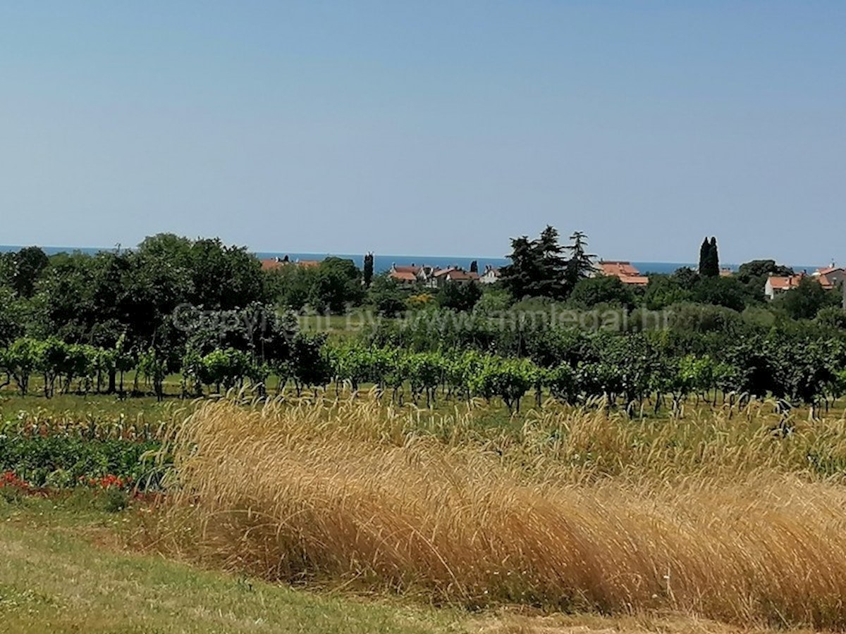 Land For sale - ISTARSKA POREČ