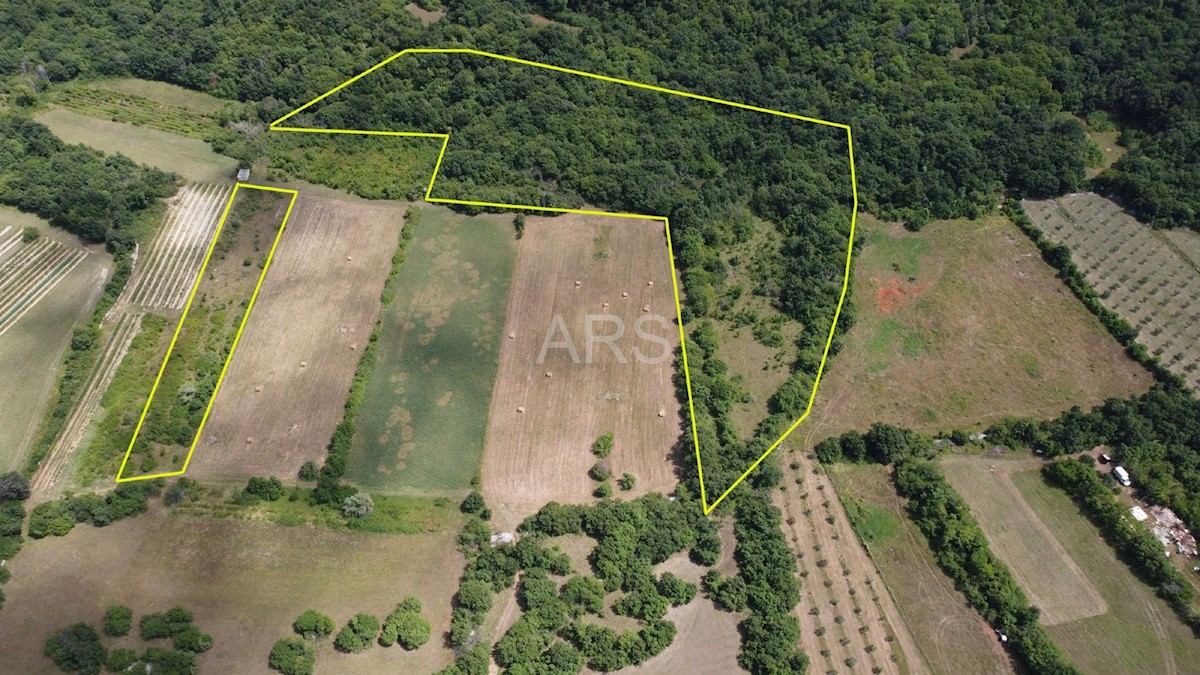 Land For sale - ISTARSKA LABIN