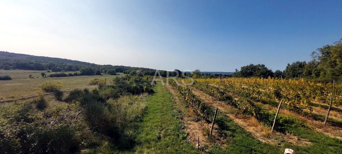 Land For sale - ISTARSKA LABIN