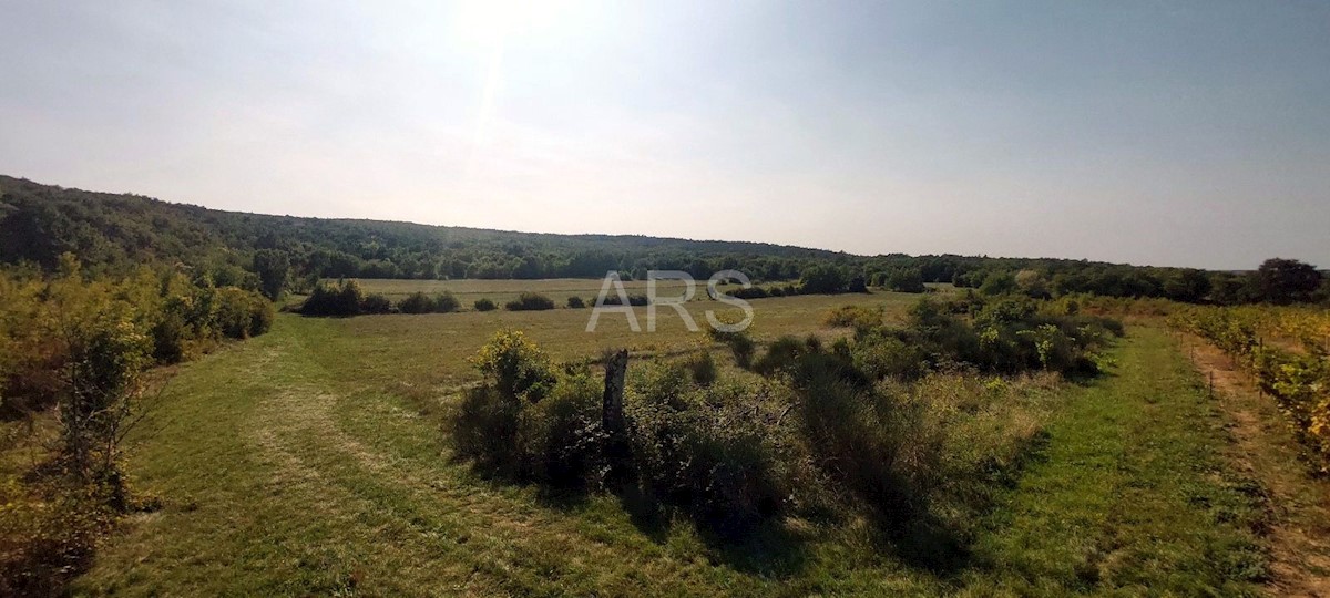 Land For sale - ISTARSKA LABIN