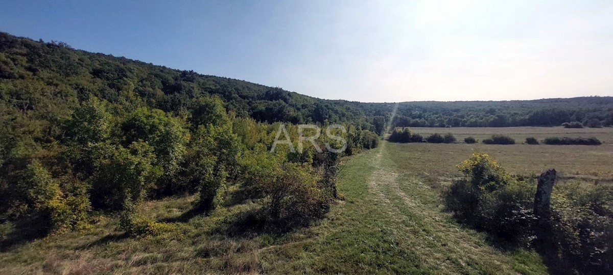 Land For sale - ISTARSKA LABIN