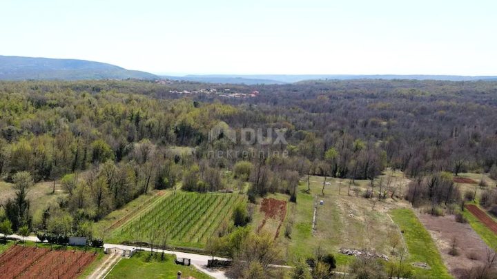 Terrain à vendre 3951 m² – Labin