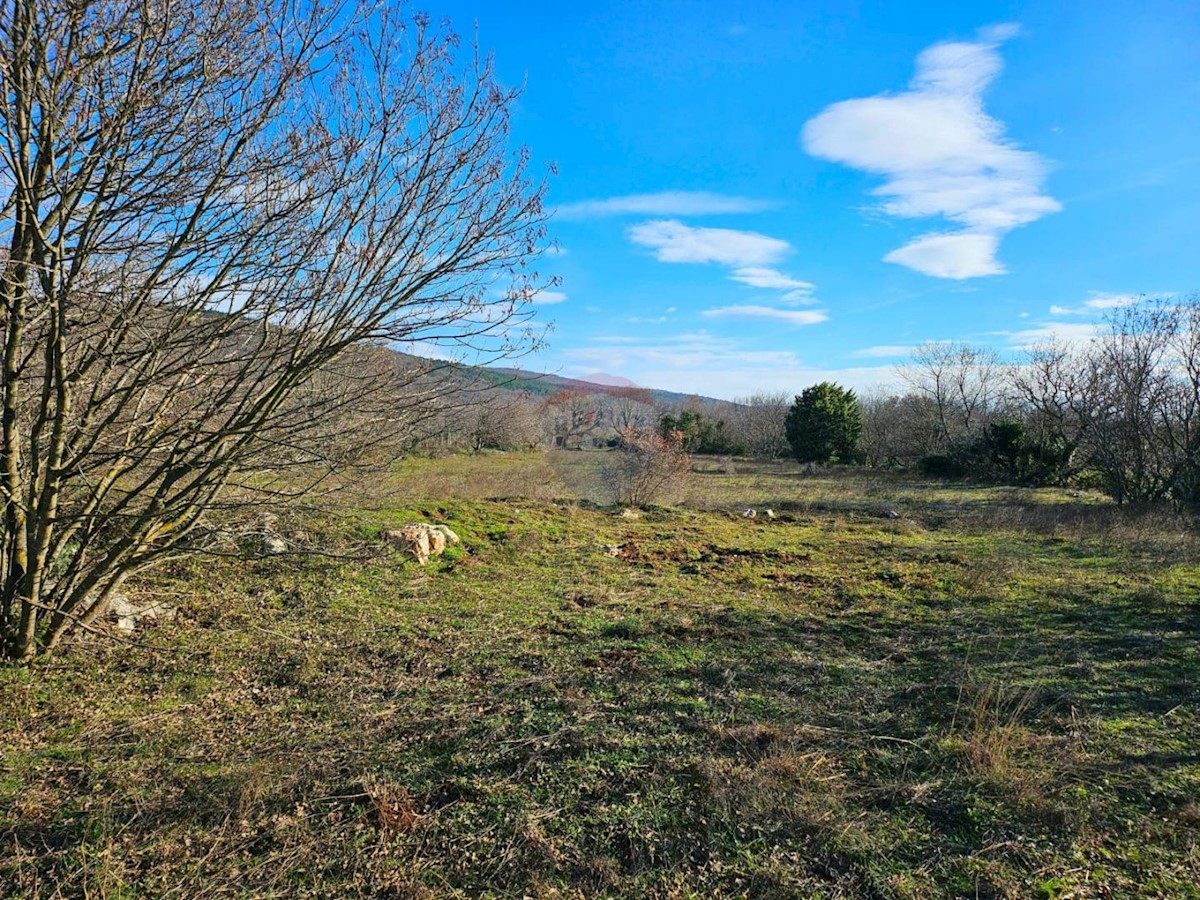 Land For sale - ISTARSKA LABIN