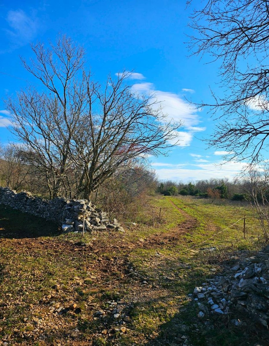 Land For sale - ISTARSKA LABIN