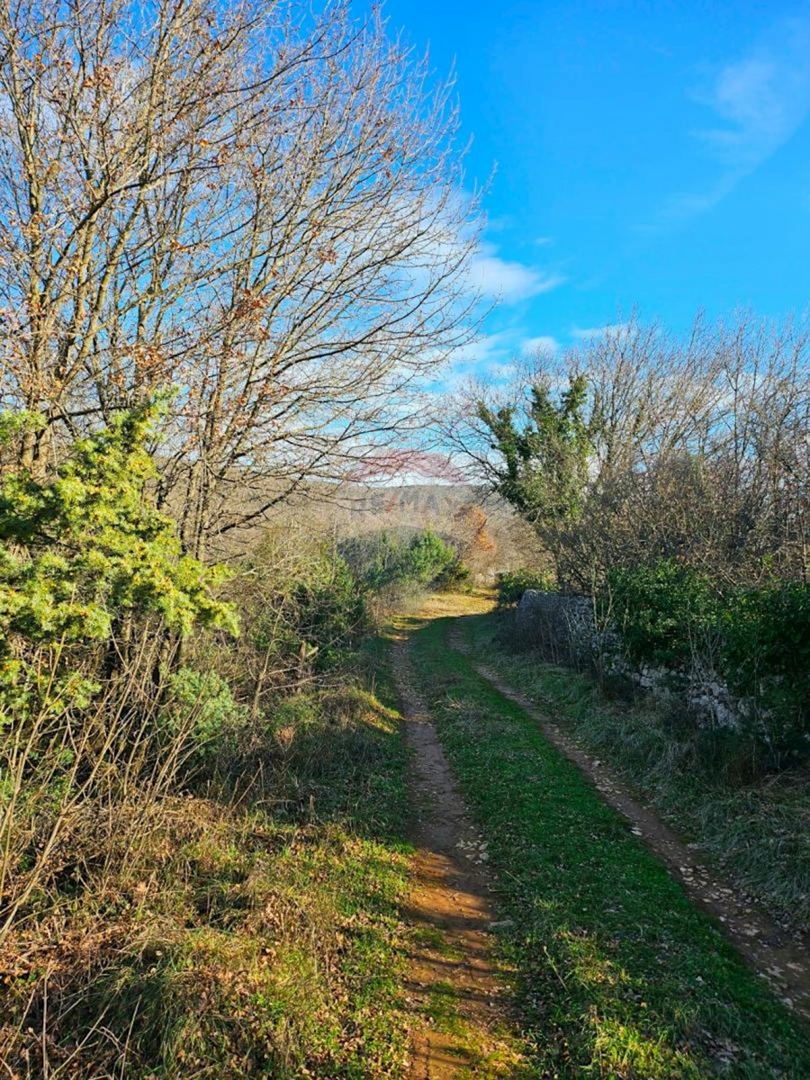 Land For sale - ISTARSKA LABIN