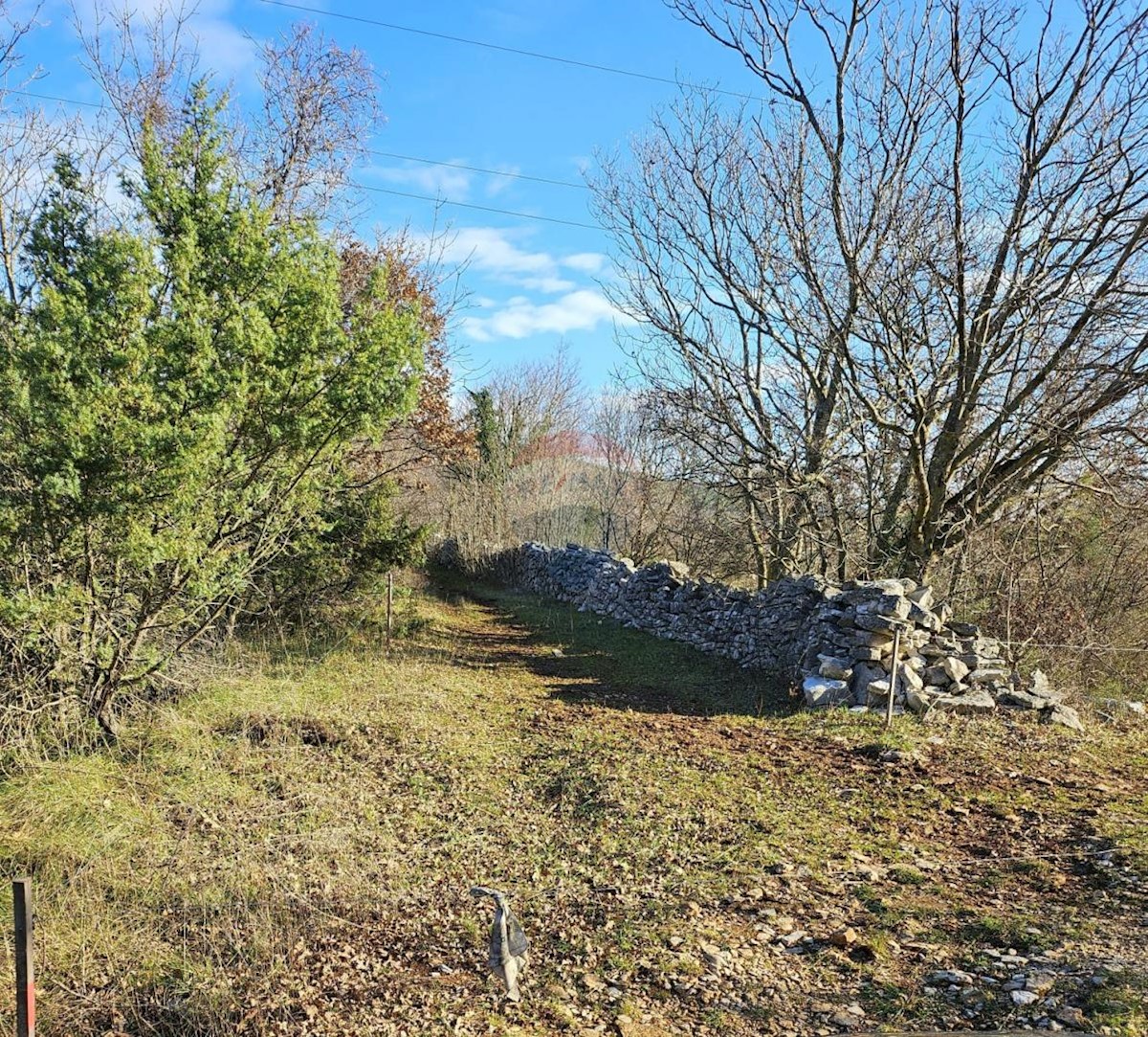 Land For sale - ISTARSKA LABIN
