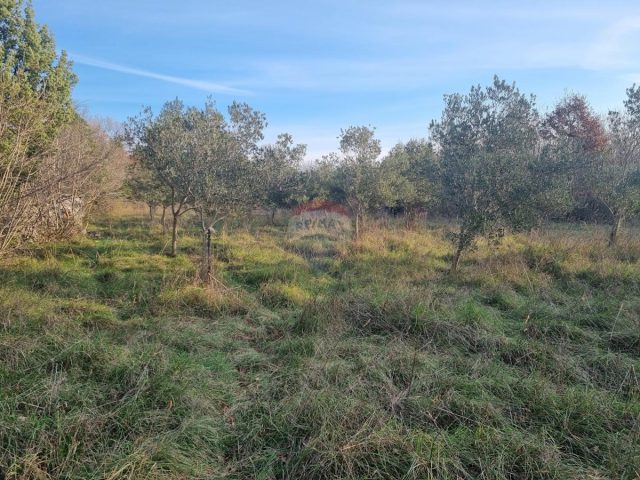Terreno In vendita - Istarska Marčana - foto 2/3