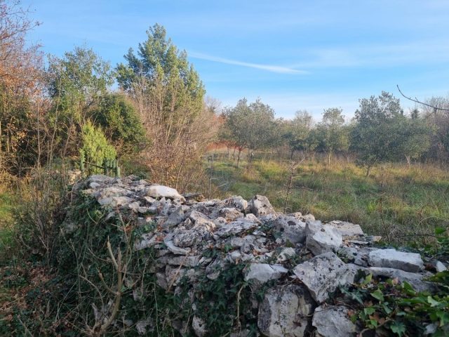 Parcela Naprodaj - Istarska Marčana - foto 4/4