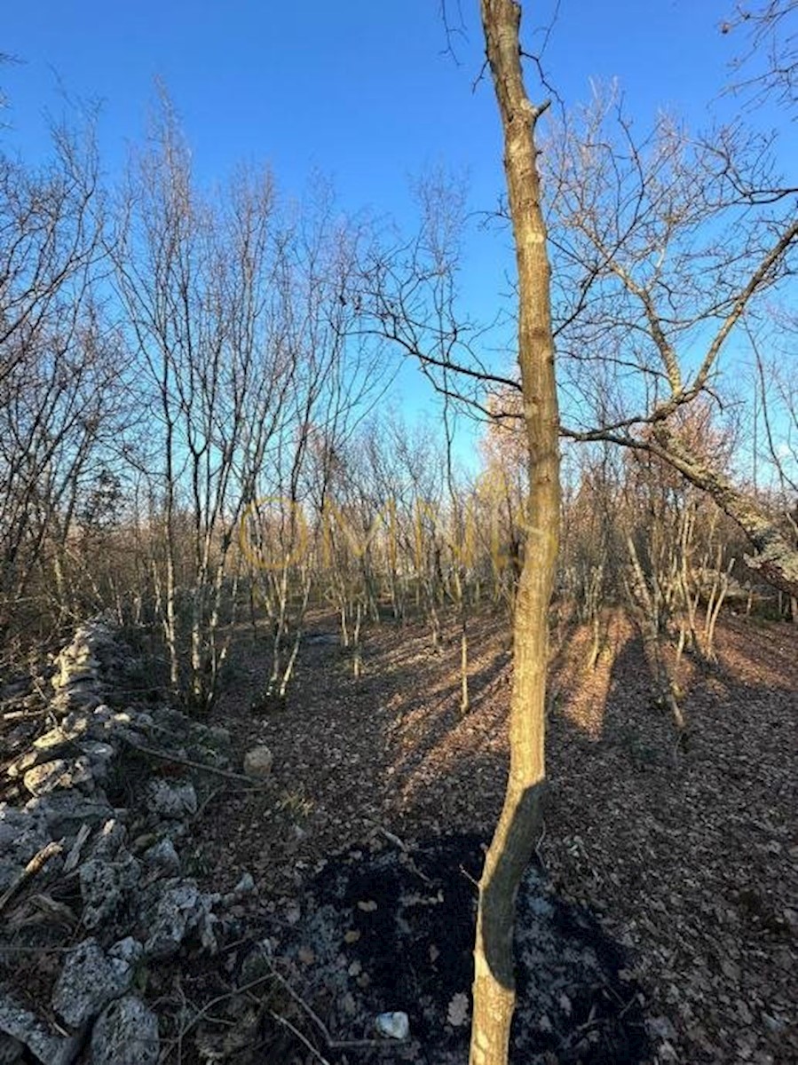 Land For sale KREMENIĆI