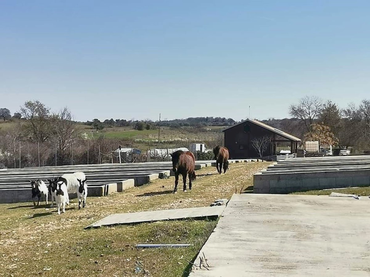 Land For sale - ZADARSKA POLIČNIK