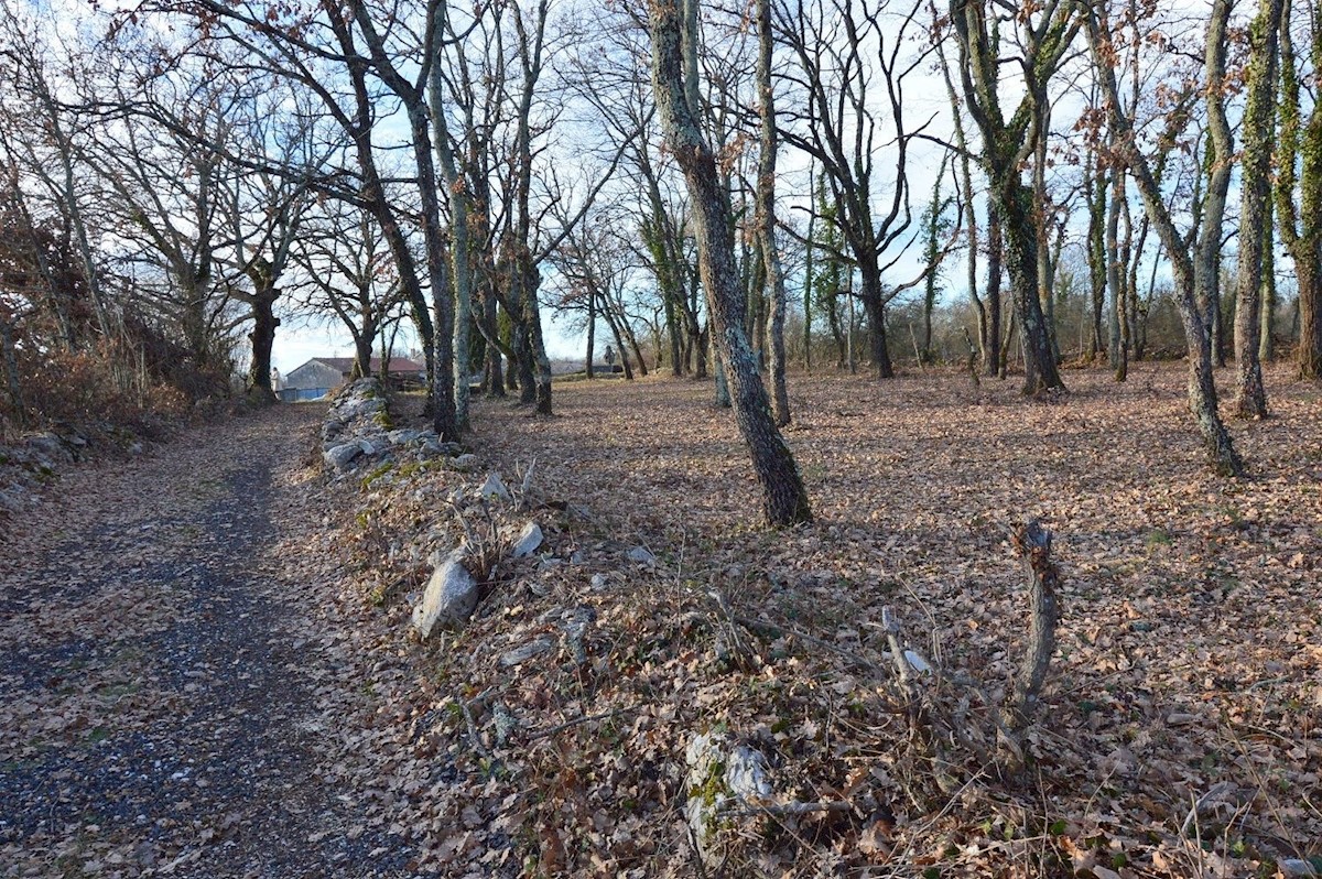 Zemljište Na prodaju - ISTARSKA TINJAN