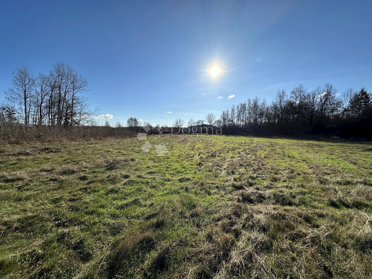 Terreno In vendita - LIČKO-SENJSKA GOSPIĆ