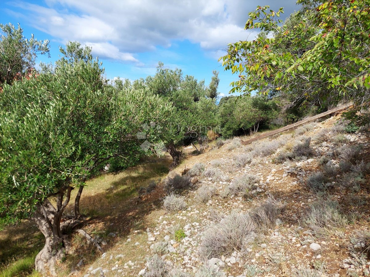 Terrain À vendre - PRIMORSKO-GORANSKA RAB