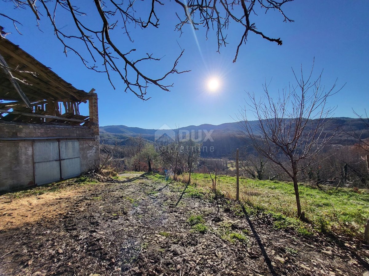 House For sale - ISTARSKA BUZET