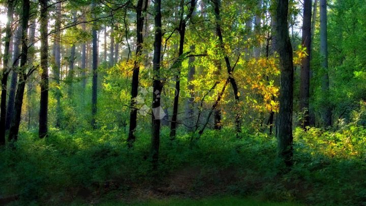 Land for sale 1859 m² – Štokovci