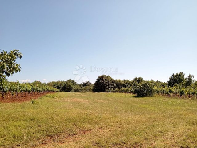Pozemek na prodej 1525 m² – Juršići