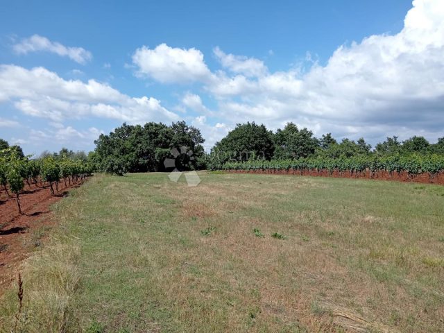 Pozemok Na predaj - Istarska Svetvinčenat - foto 4/4