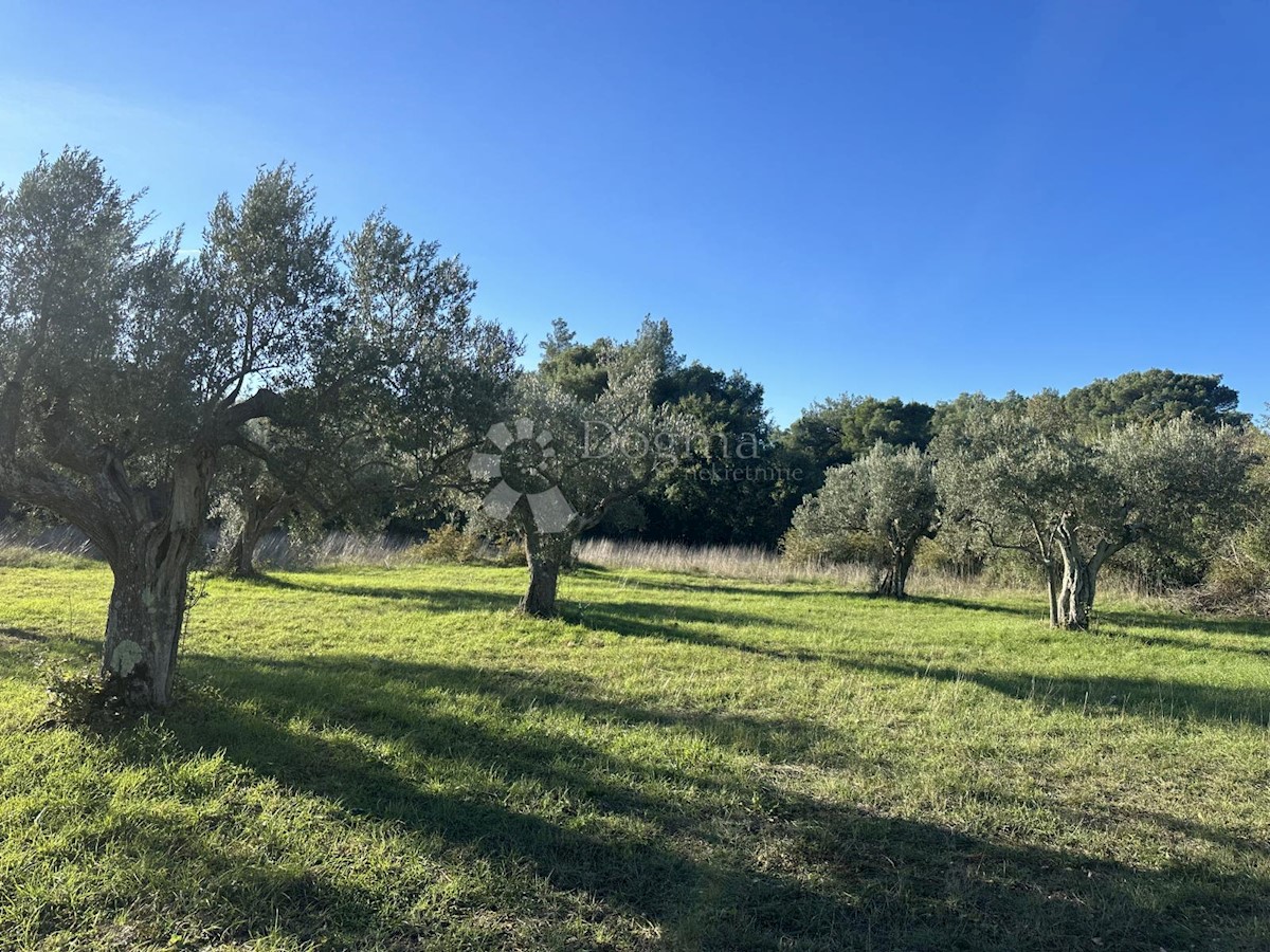 Terreno In vendita - ISTARSKA VODNJAN