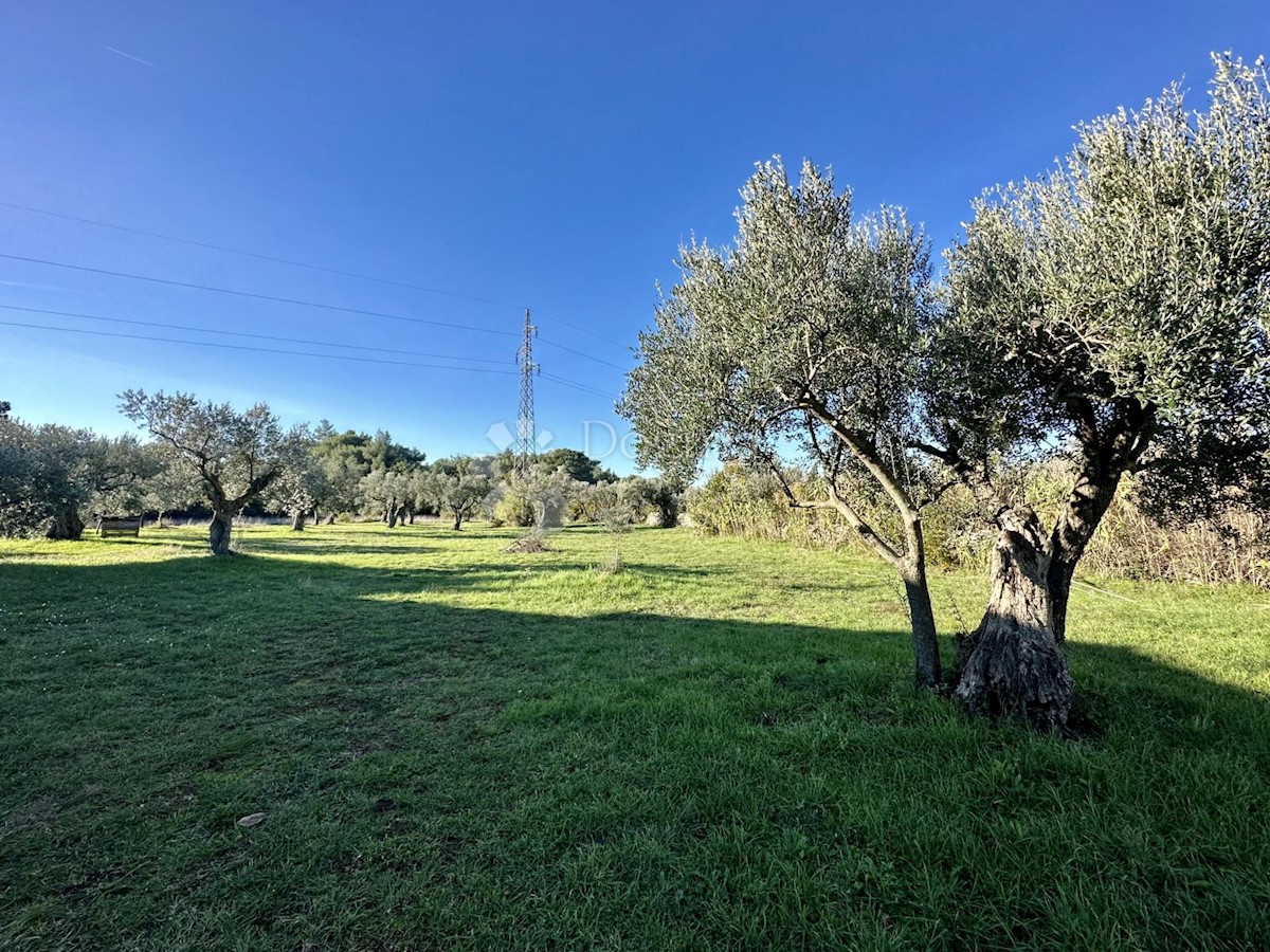 Terreno In vendita - ISTARSKA VODNJAN