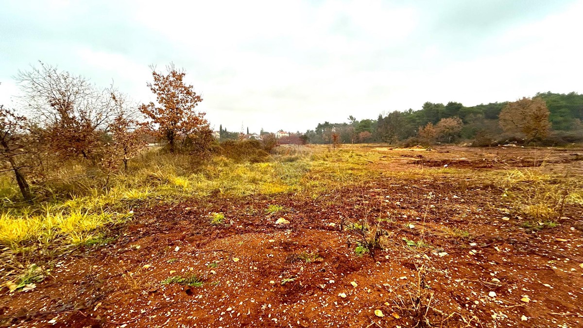 Land For sale - Istarska Umag - foto 2/4