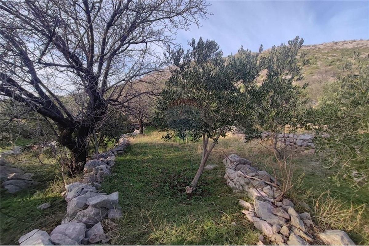 Land For sale - ZADARSKA STARIGRAD