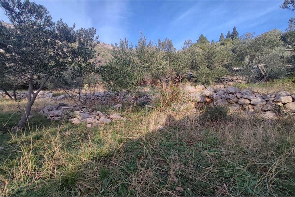 Land For sale - ZADARSKA STARIGRAD