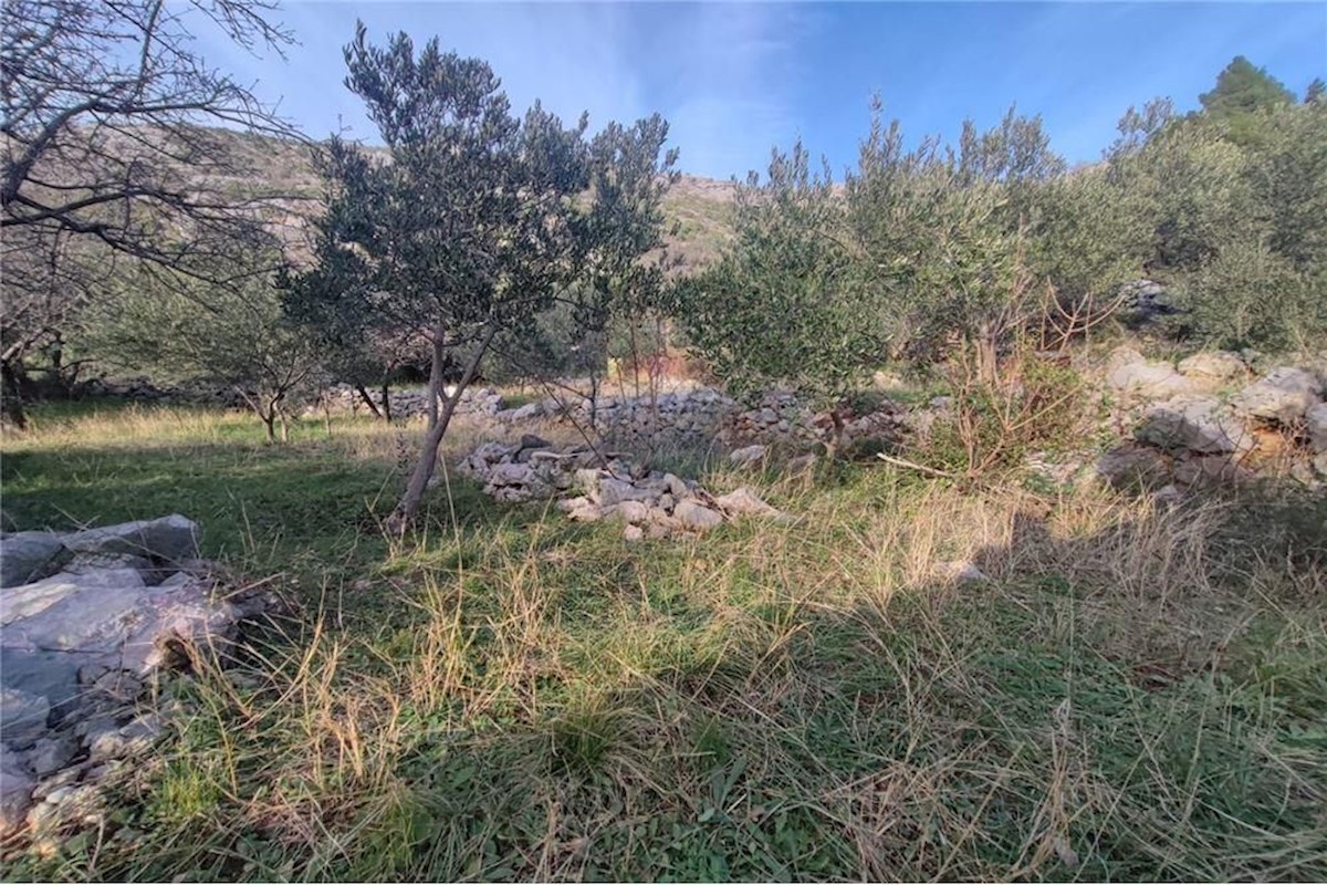 Land For sale - ZADARSKA STARIGRAD