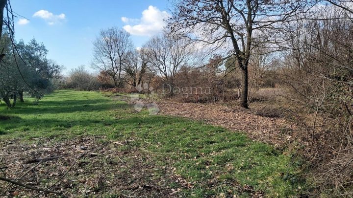 Terreno in vendita 2477 m² – Valtura
